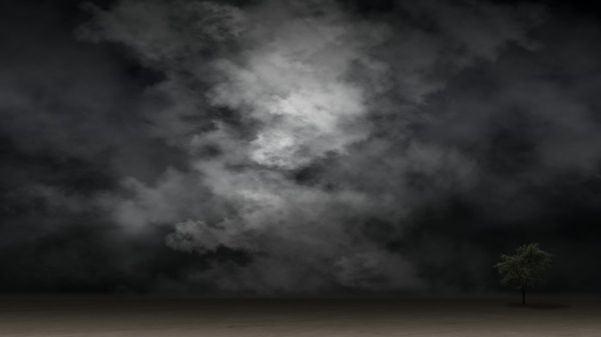 暗夜孤树