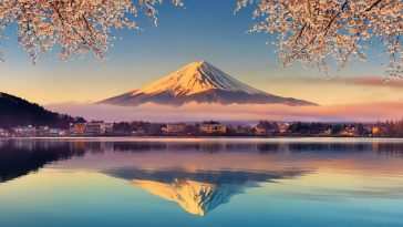 富士山樱花湖动态壁纸