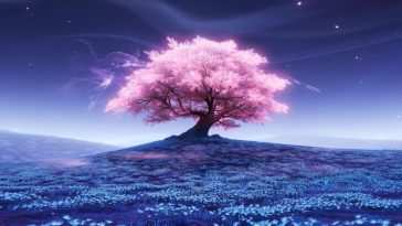 樱花树动态壁纸