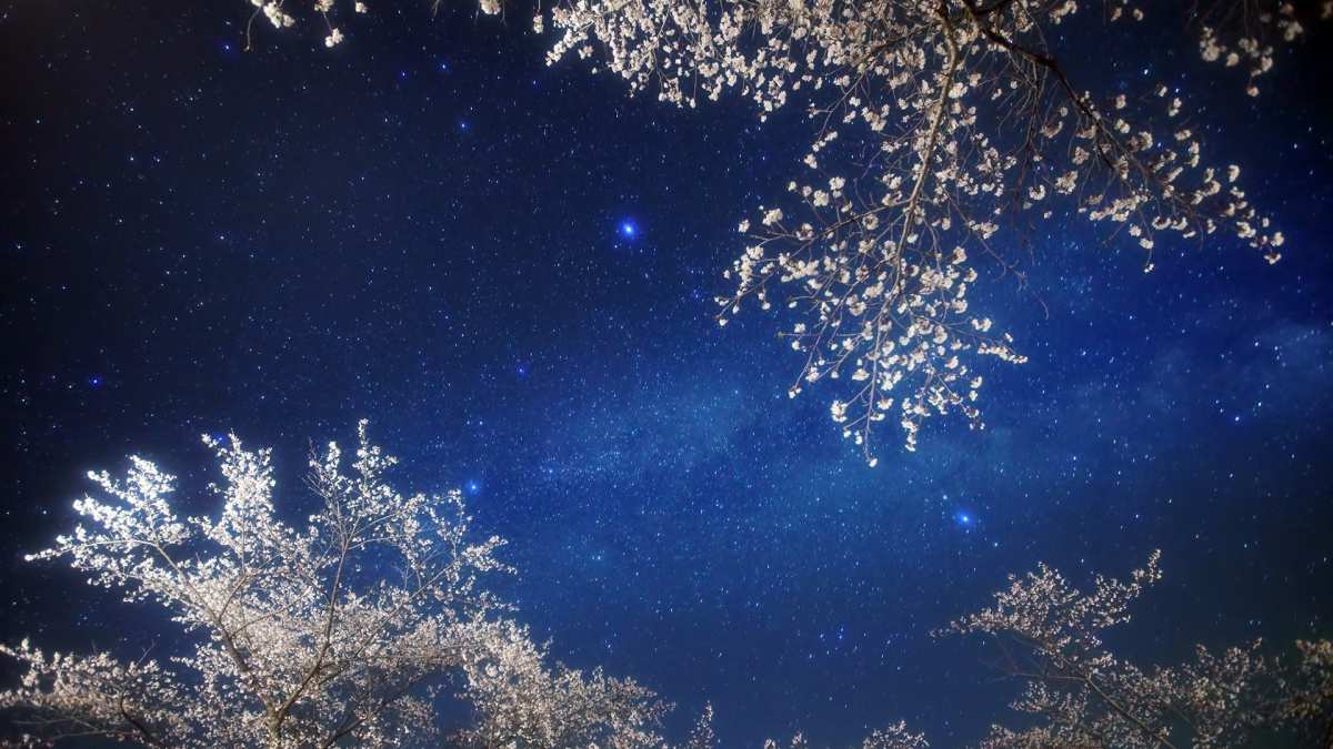 神秘壁纸/动态壁纸高清
