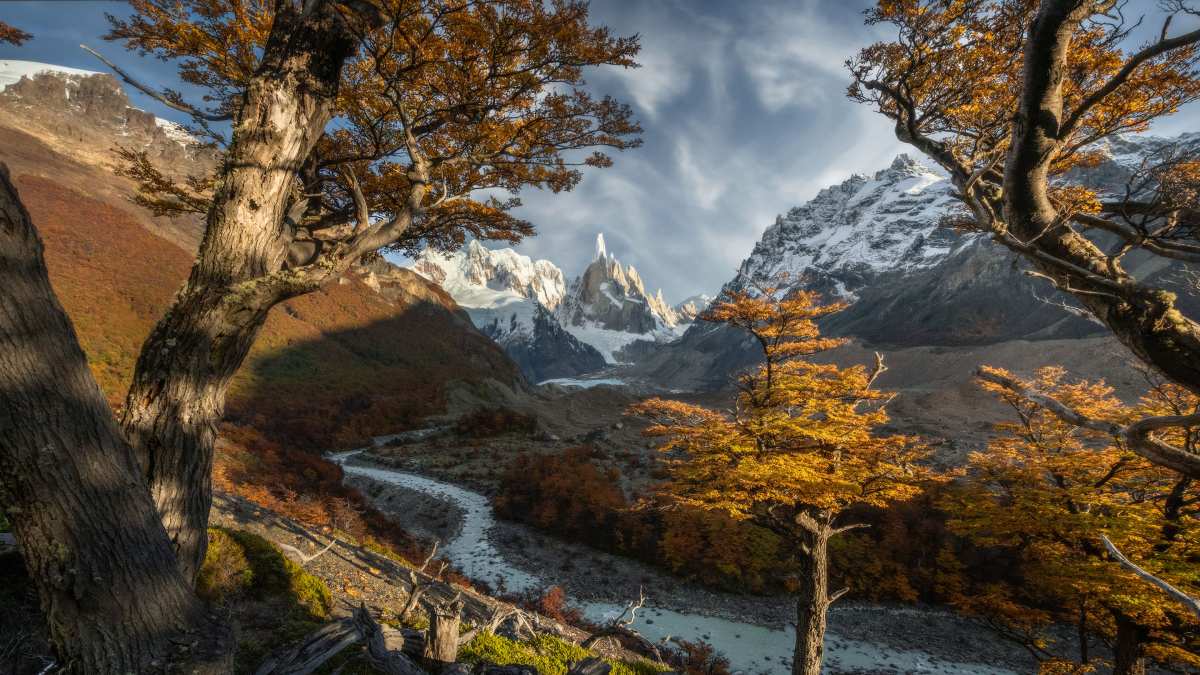 神秘壁纸之景 – 高清动态壁纸