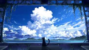 看天空的黑猫 · 动态壁纸