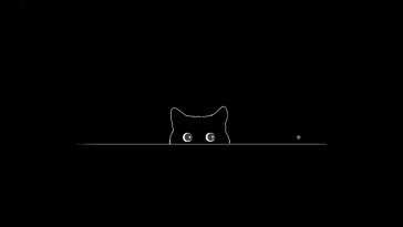 猫和蜜? · 动态壁纸