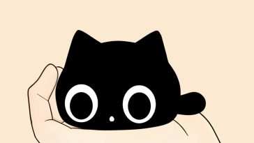 赤壁黑猫 · 动态壁纸