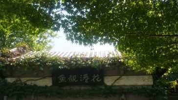 花岗冠禹 · 动态壁纸