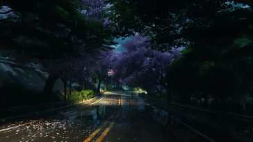 雨花瓣Neverness至Everness NTE · 动态壁纸