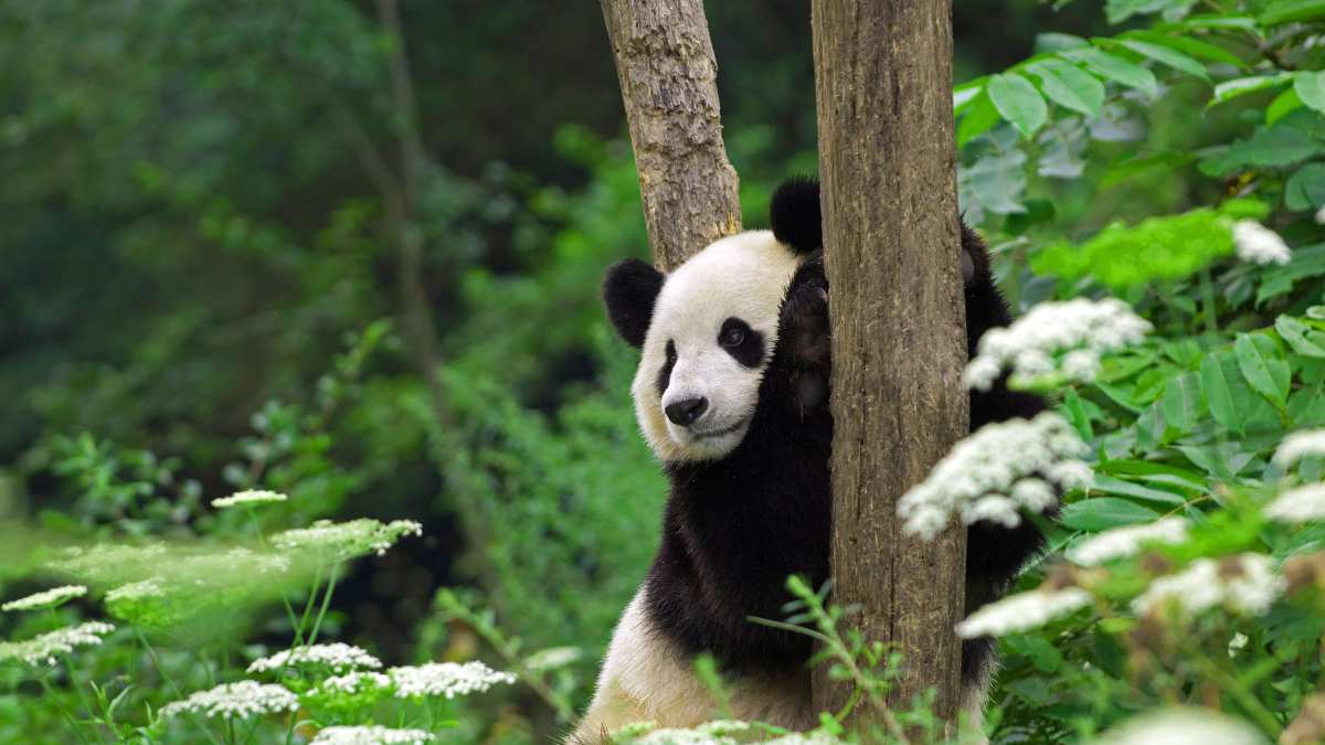 绚丽壁纸光影