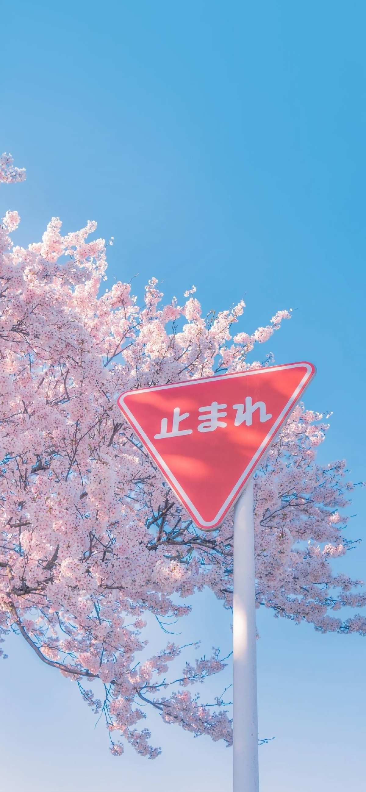 高清壁纸 · 静态壁纸 · 桌面壁纸高清壁纸