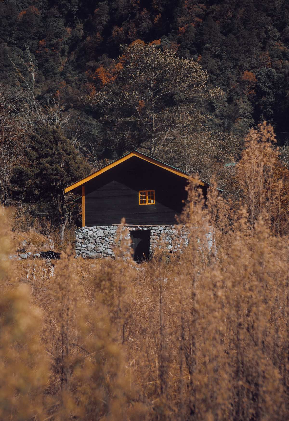 nature · farm · landscap高清壁纸