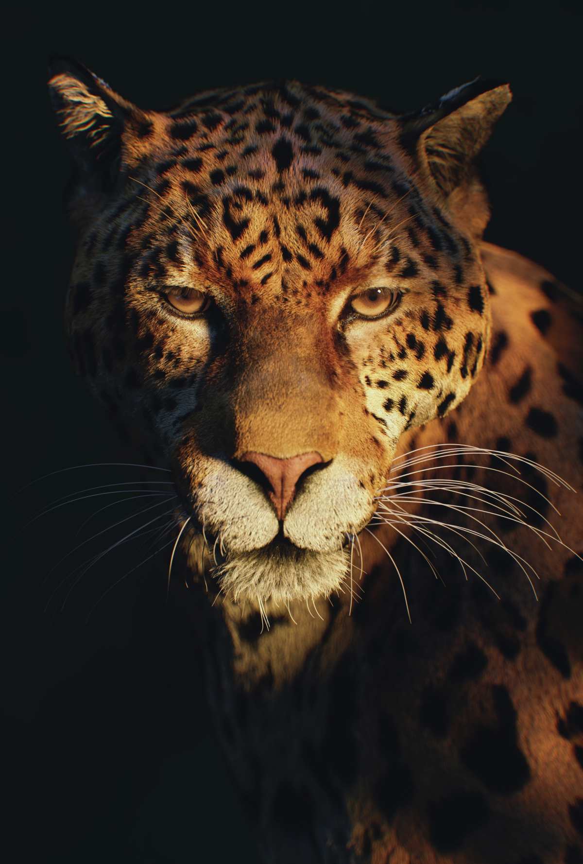 GV Prashanth · portrait 高清壁纸