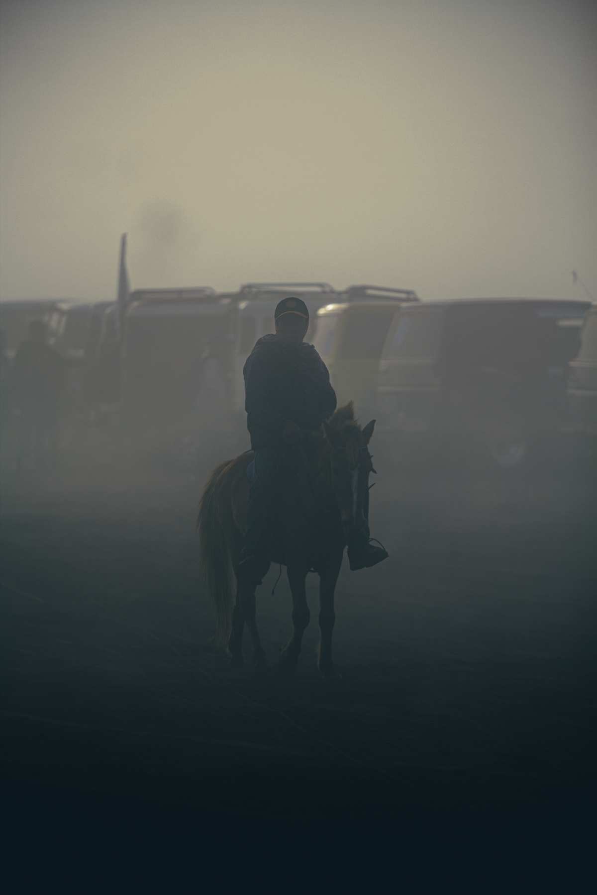 horse · dark · portrait高清壁纸