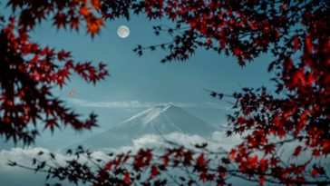 Autumn Fuji Live Wallpaper