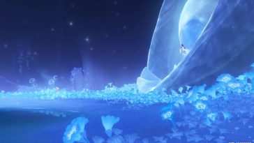 Columbina Blue Flower Fields Genshin Impact Live Wallpaper