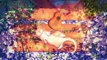阳光花猫 · 动态壁纸