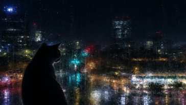 雨天城市景观猫咪剪影 · 动态壁纸