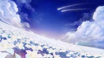 鲜花之海Genshin Impact · 动态壁纸