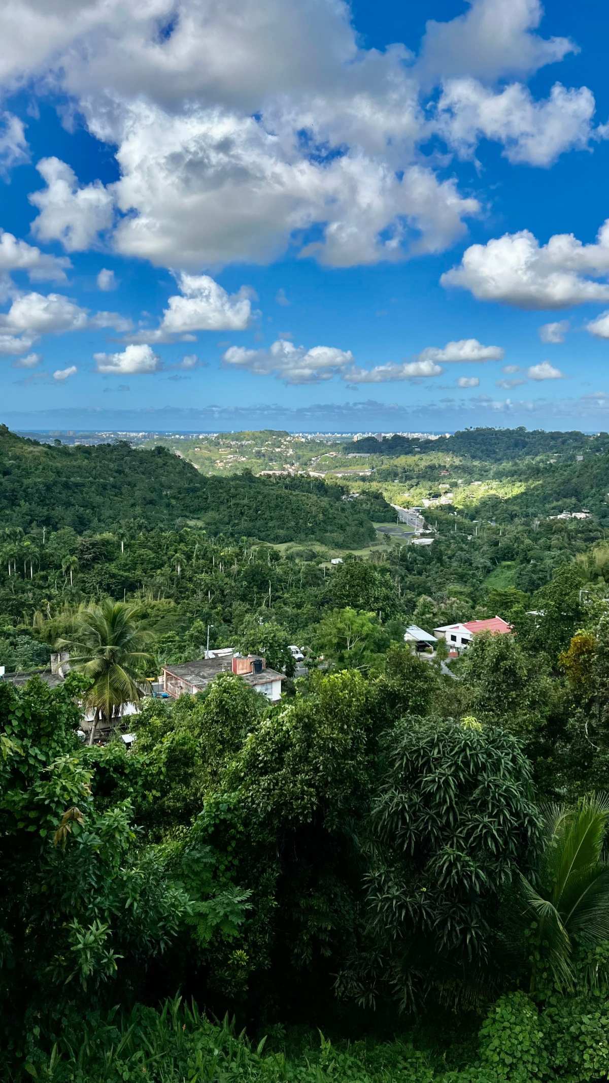 迷人风景·高清时刻