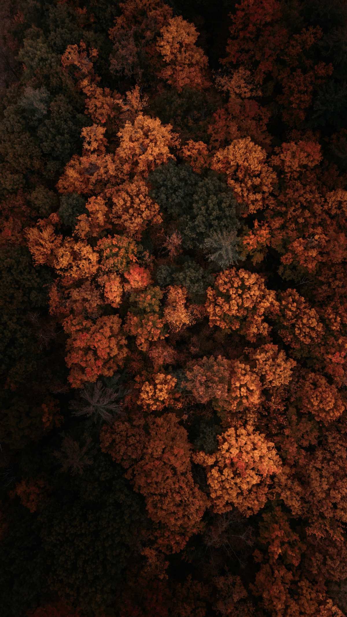 梦幻风景·高清世界