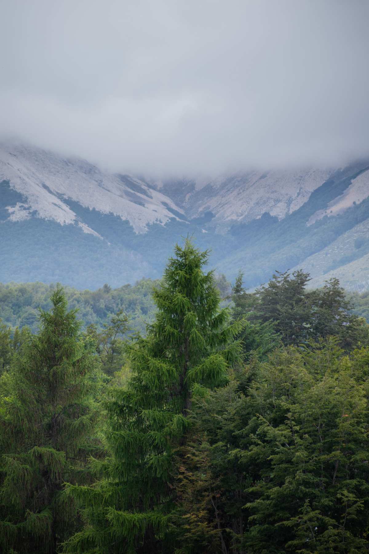 壮观景色·云之景