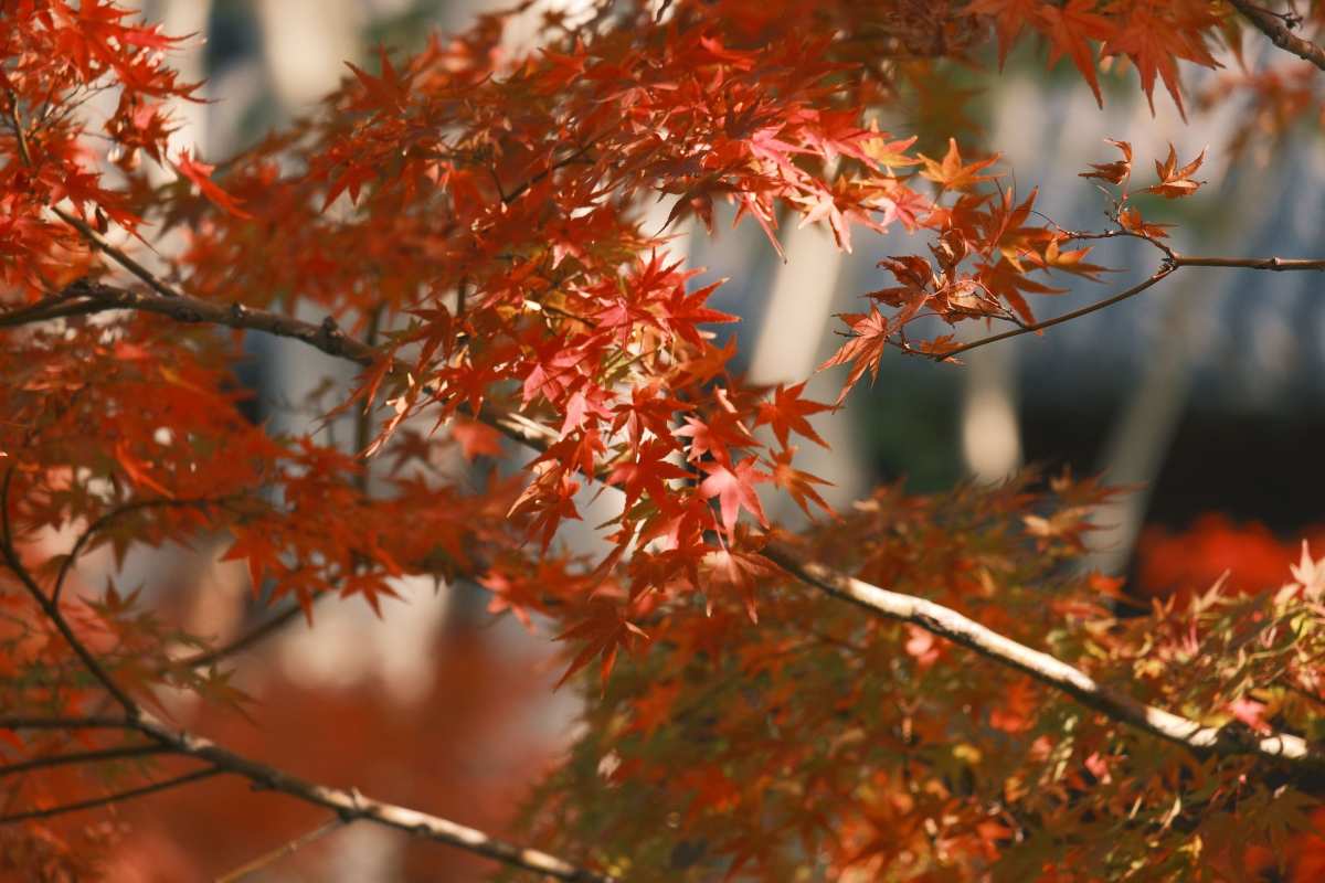 唯美风景·高清世界