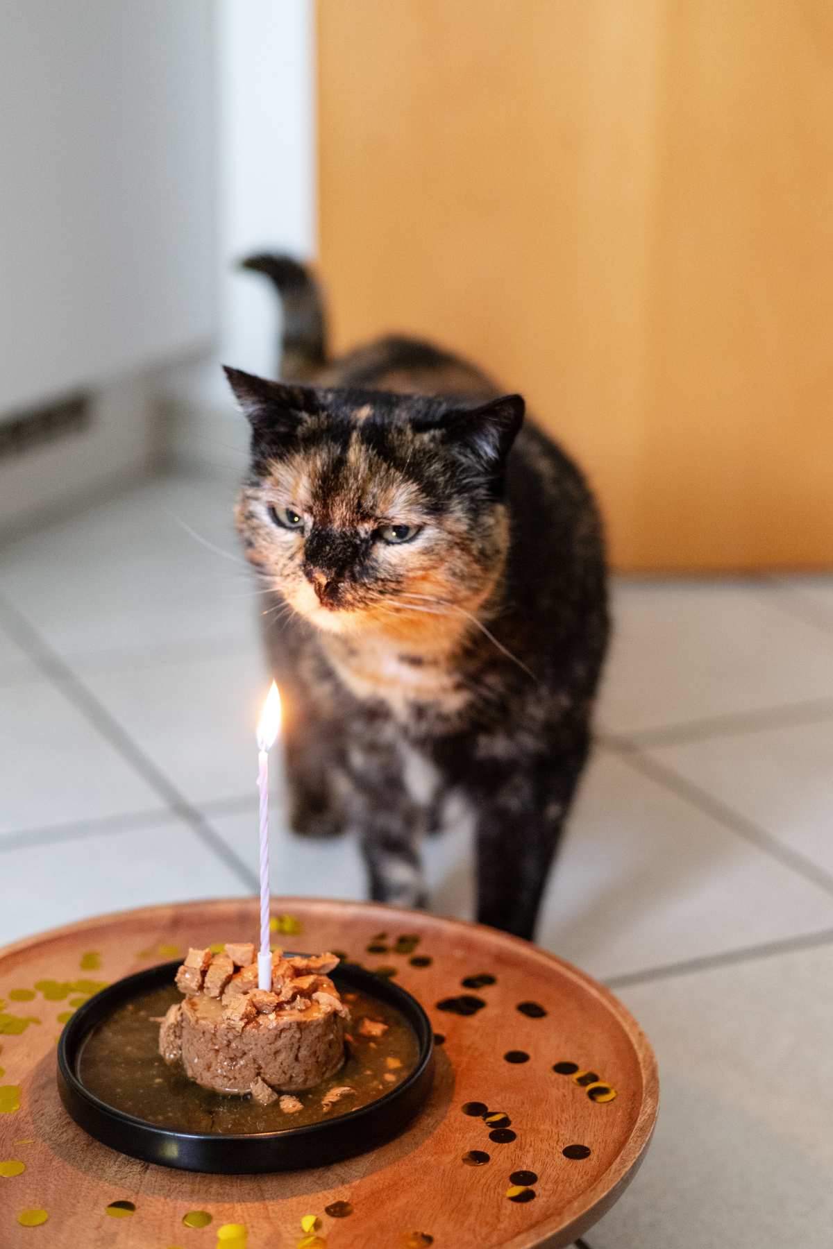 壮观猫意境