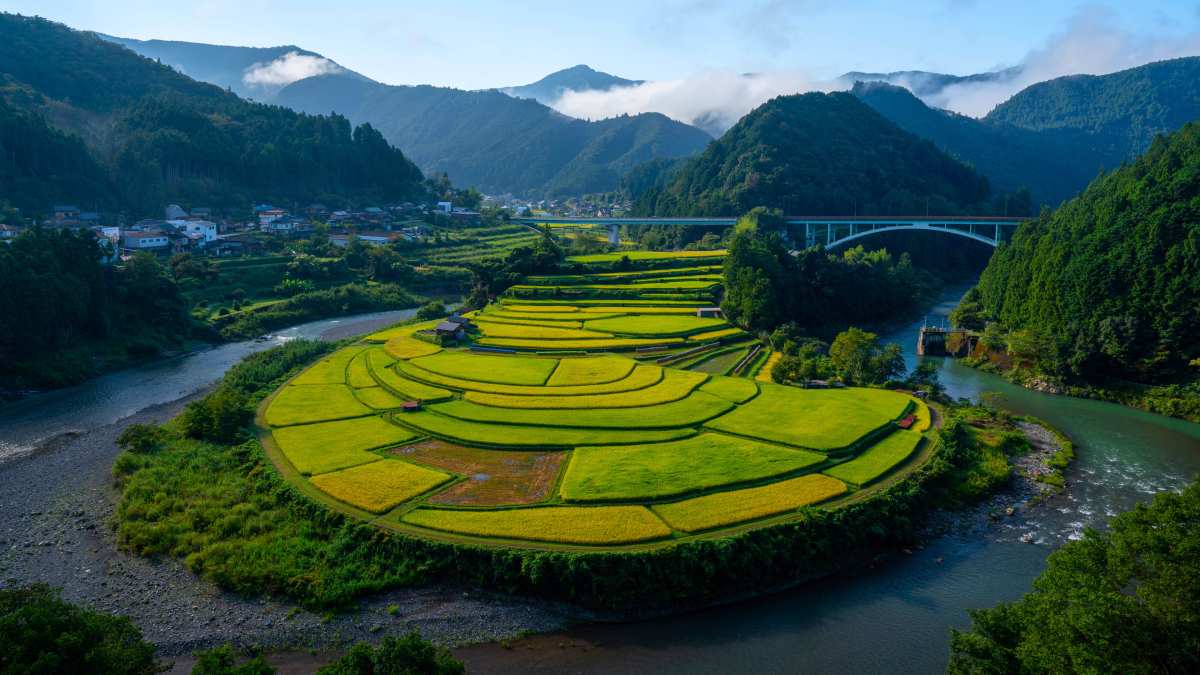 清新壁纸之景