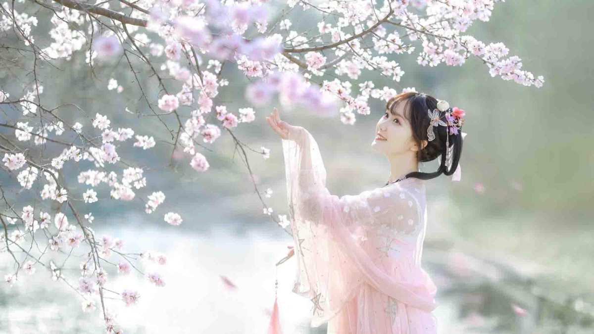 绝美壁纸光影